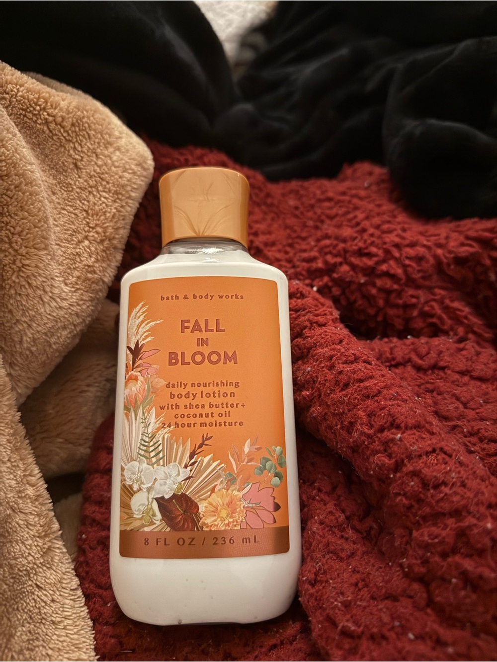 Bath & Body Works Fall in Bloom Body Lotion - Orange